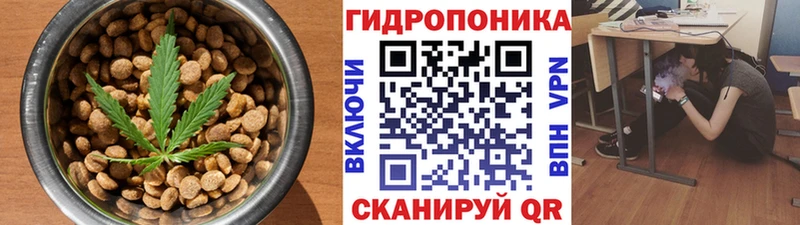 купить наркотик  Новосокольники  Еда ТГК конопля 