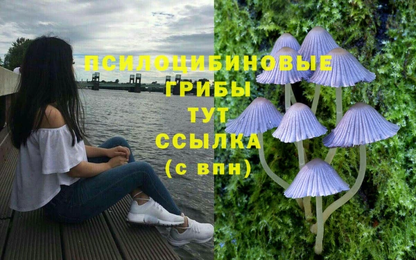 соль ск Волоколамск