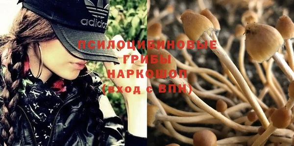 альфа пвп Богородск
