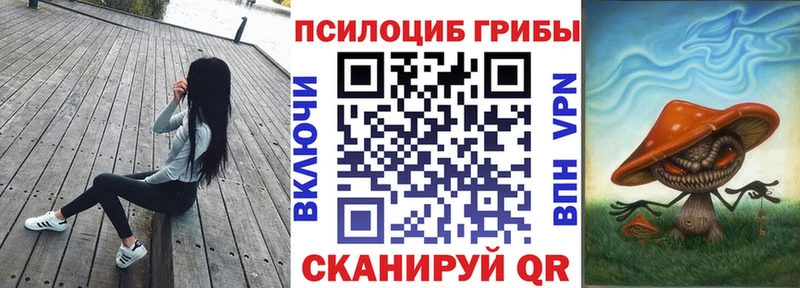цена Новосокольники Галлюциногенные грибы Cubensis