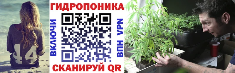 Бошки марихуана Ganja  Новосокольники 
